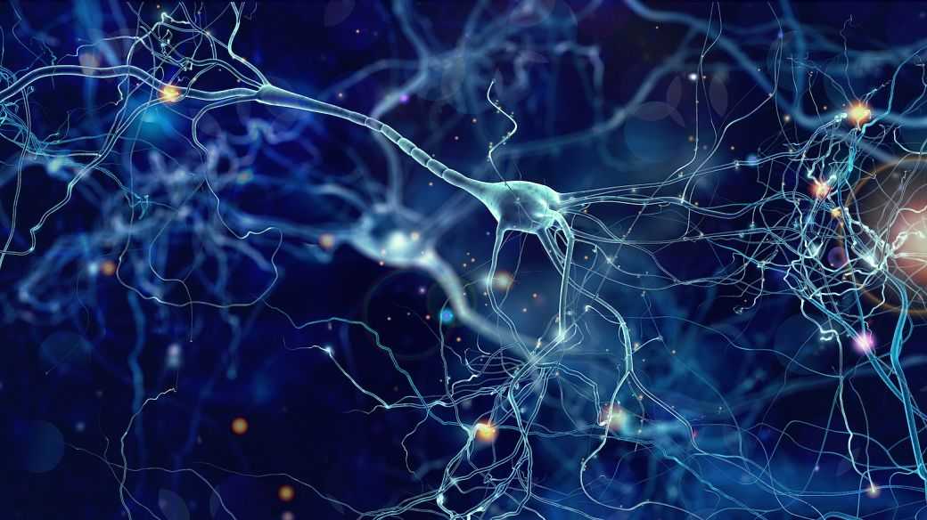 The Future of Stem Cell Therapy in ALS