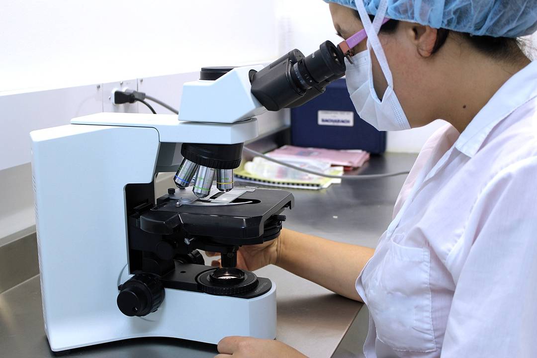 Microscope for visualizing biological structures