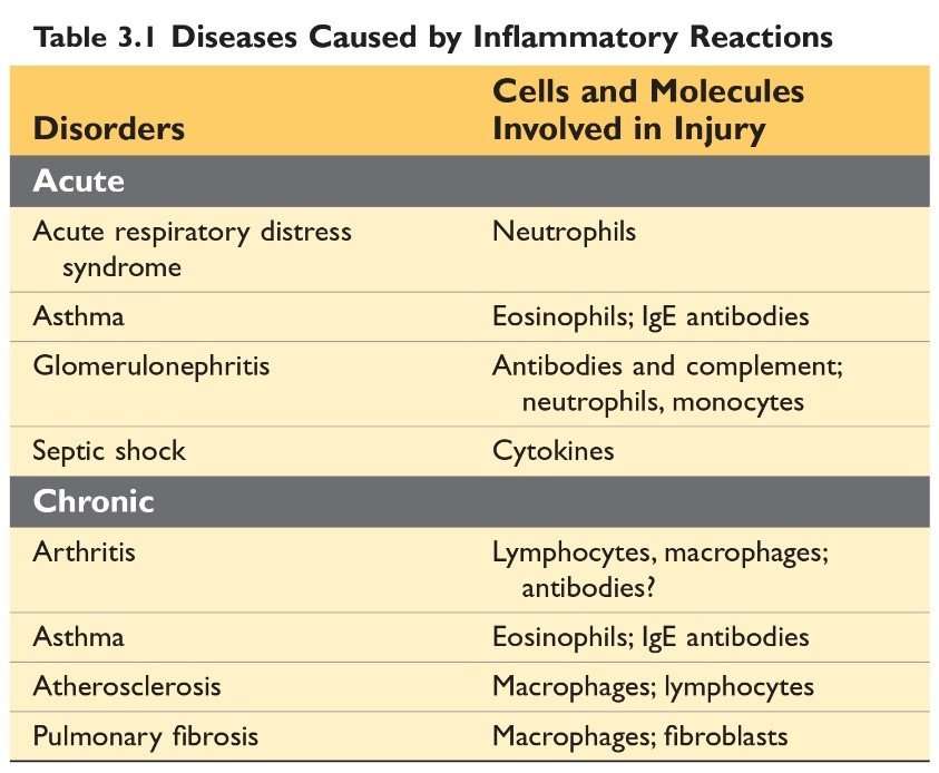 Disease caused by inflammatory reactions
