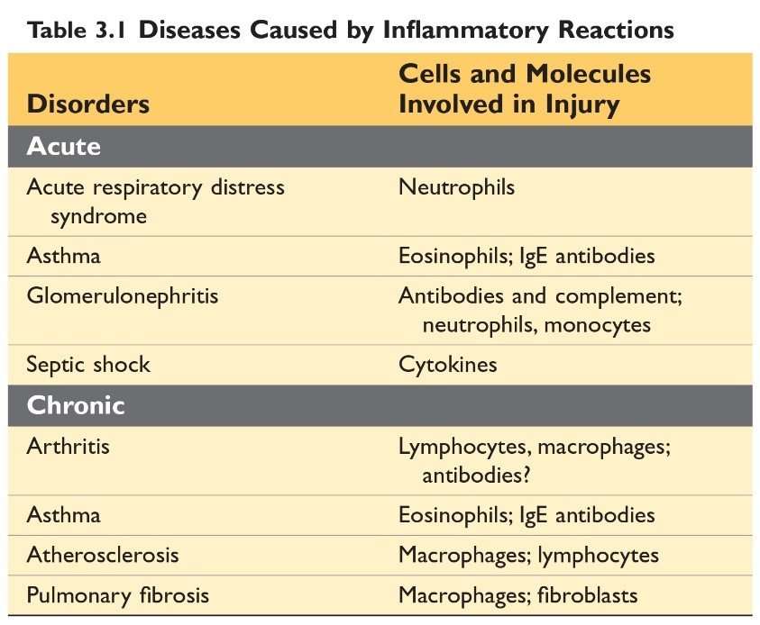 acute-inflammation-emedicodiary