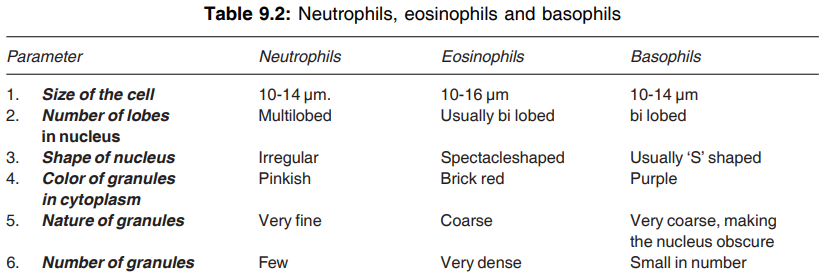 Difference between Neutrophil, Eosinophil and basophil 