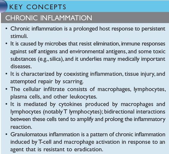 Concept of chronic inflammation
