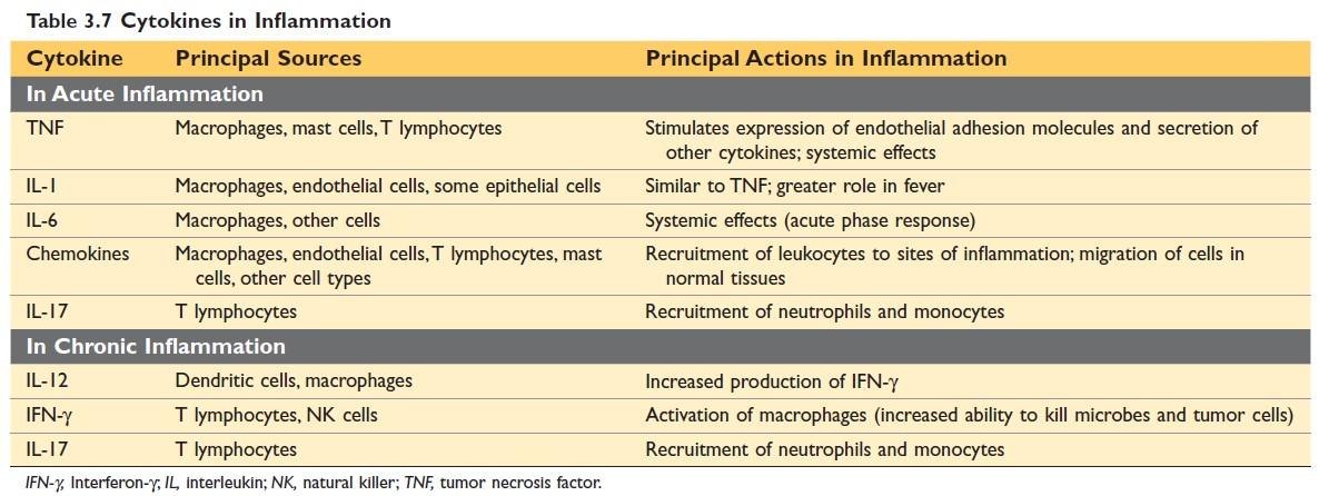 Cytokines in Inflammation Robbin's