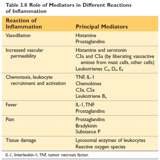 Role of mediator in inflammation