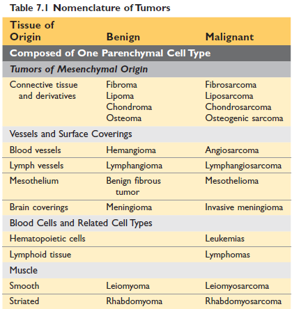 Nomenclature of tumor