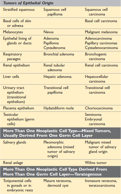 Nomenclature of tumor