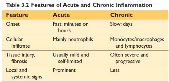 Difference between acute and chronic inflammation