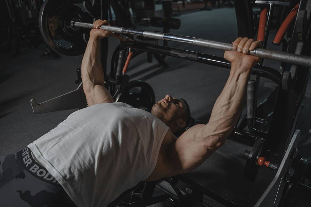 Muscle size and definition