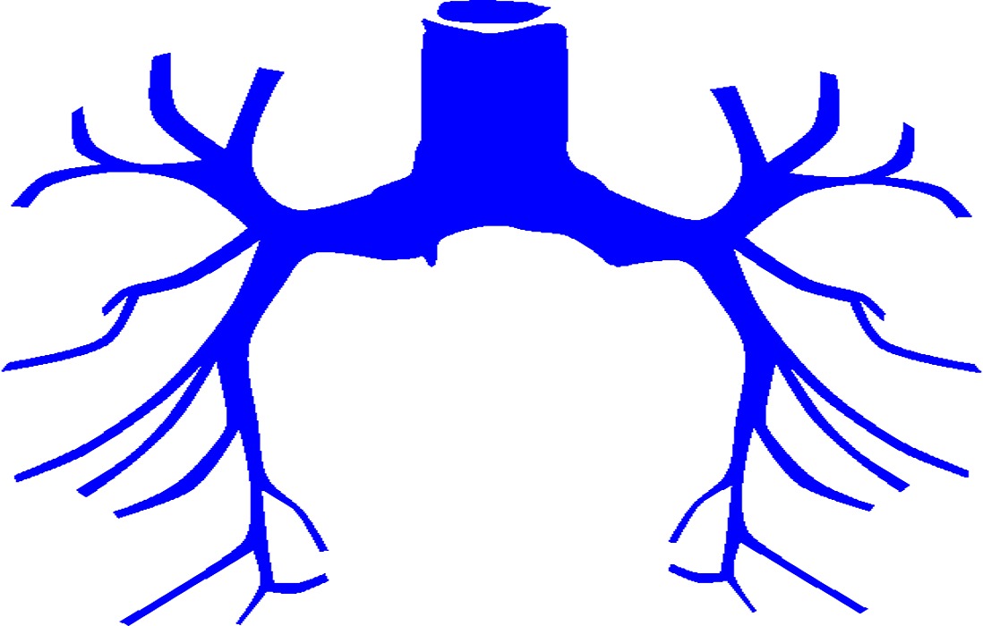 The Role of Spirometry: Protective Screening That Safeguards Your Breath