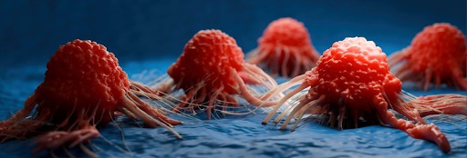 Role of IHC in Developing ADCs
