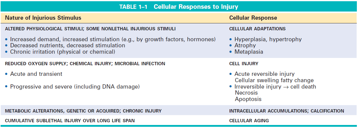 Cell response to injury