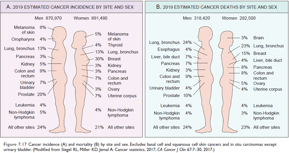 Cancer incidence and mortality by site and sex