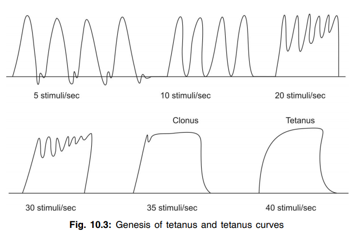 genesis of tetanus 