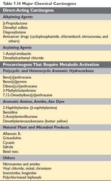 Major chemical carcinogens Robbin’s