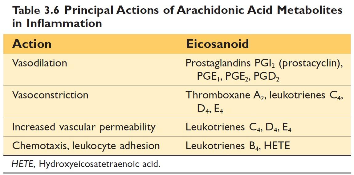 Inflammatory actions of eicosanoids Robbin's