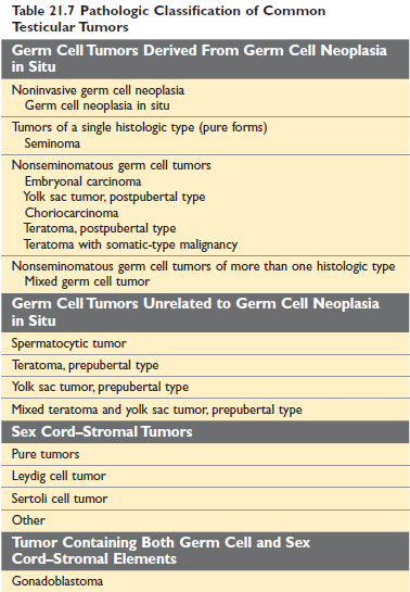 Testicular tumor