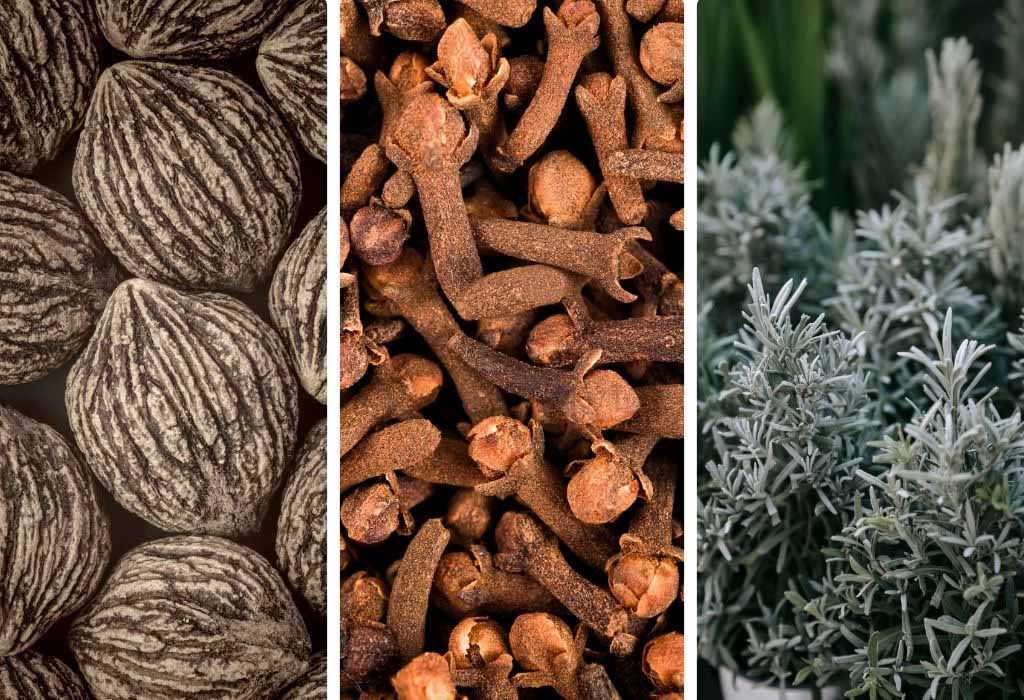 herbs and supplements for natural parasite cleanses