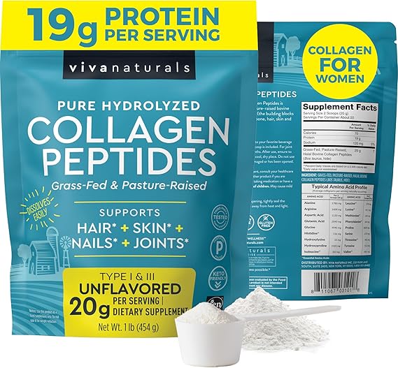 The Role of Hydrolyzed Collagen Powder in Long-Term Muscle Recovery and Structural Strength Development