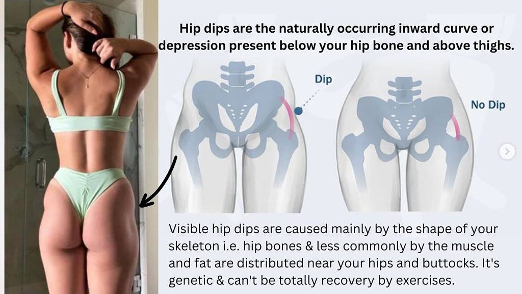 Hips dips are the inward depression along the side of your body, just below  the hip bone. Some people call may them violin hips. Instead