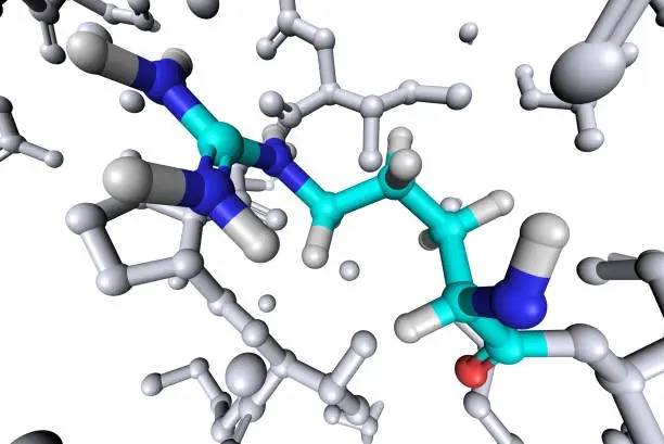 The Expanding Role of Custom Peptide Synthesis in Biotech Research