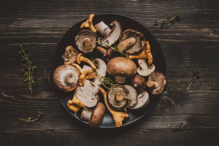 Your Complete Guide to Quality, Legality & Safe Use of 3 Amigos Mushrooms