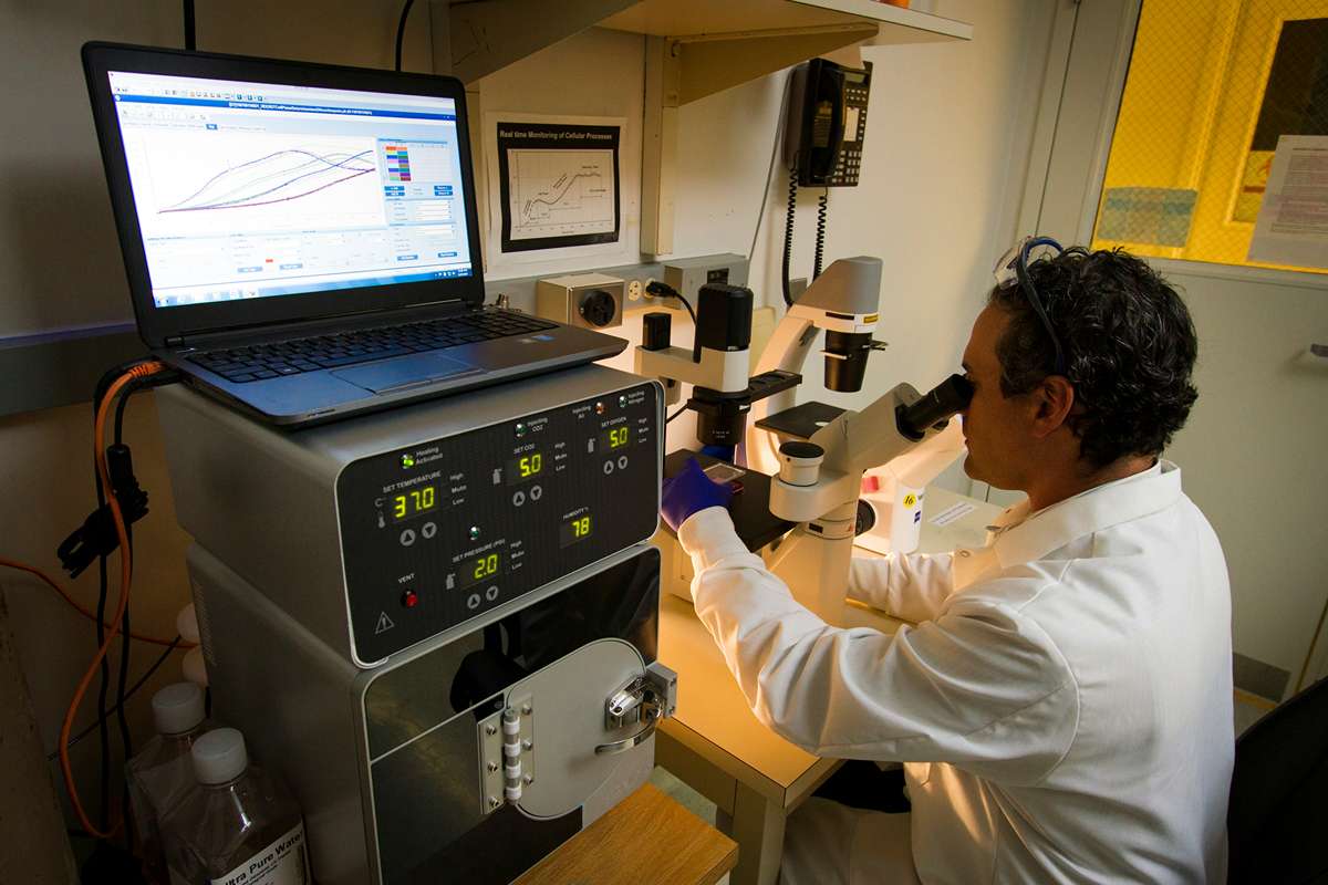 Clinical Data Solutions: Transforming Healthcare Through Intelligent Insights