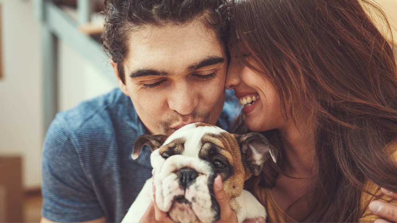 Love, Loss, and Healing: A Couple's Path After Pet Loss