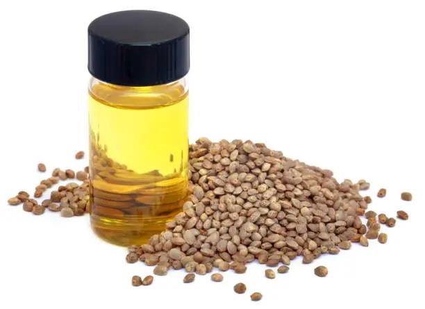 THC Free CBD Oil Isolate: Benefits, Uses, and What Buyers Need to Know