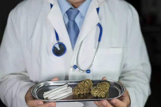 Where Canadians Actually Get Medical Cannabis and How the Process Works