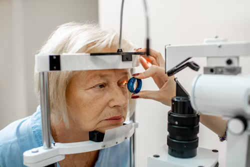 Presbyopia Treatment 101: Everything You Need to Know Before You Act