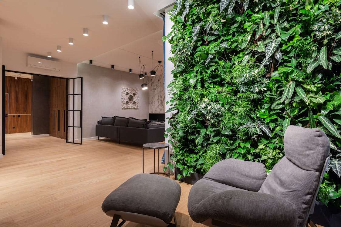 What Are the Health Benefits of Adding Indoor Plants to Living Spaces