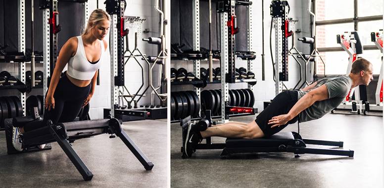 Strength from Every Angle: Nordic Curl and Back Extension Machine ...