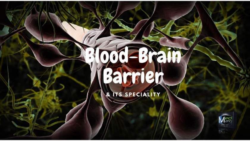 Blood brain Barrier