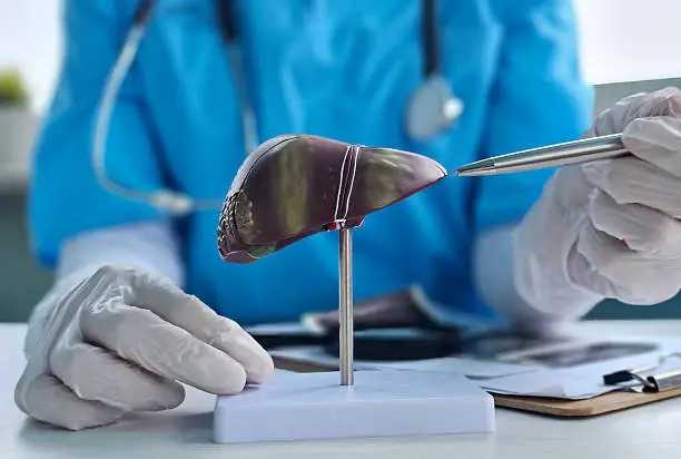 How Fatty Liver Affects Your Overall Health Beyond the Liver