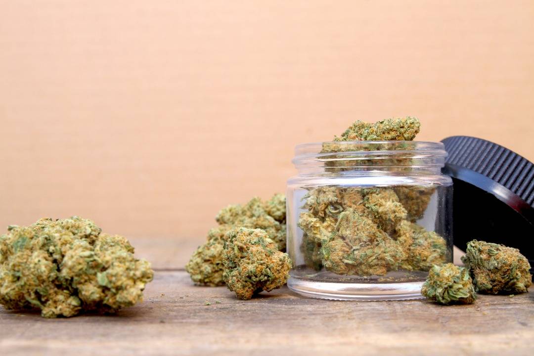 Tips for Scoring Cheap THCA Flower at Your Favorite THCA Shop