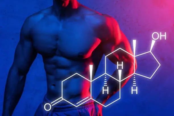 Choosing Quality: Why Athletes Trust Balkan Pharmaceuticals for Results