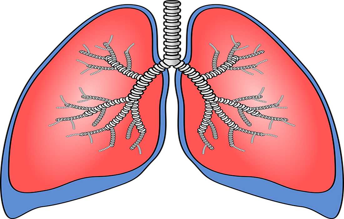 The Role of Spirometry: Protective Screening That Safeguards Your Breath