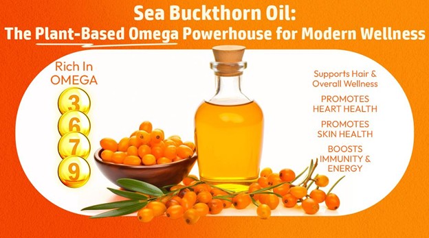 Sea Buckthorn Oil: The Plant-Based Omega Powerhouse for Modern Wellness