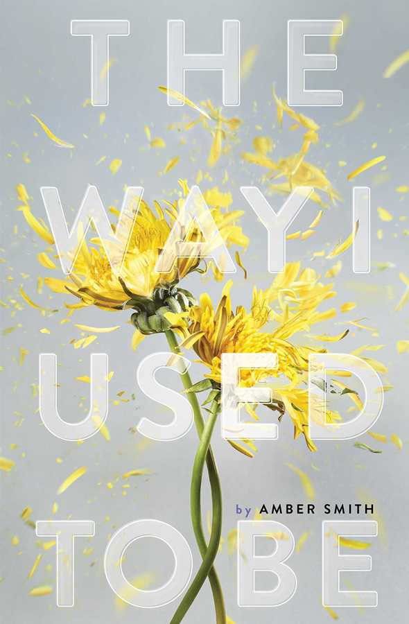Download The Way I Used to Be pdf