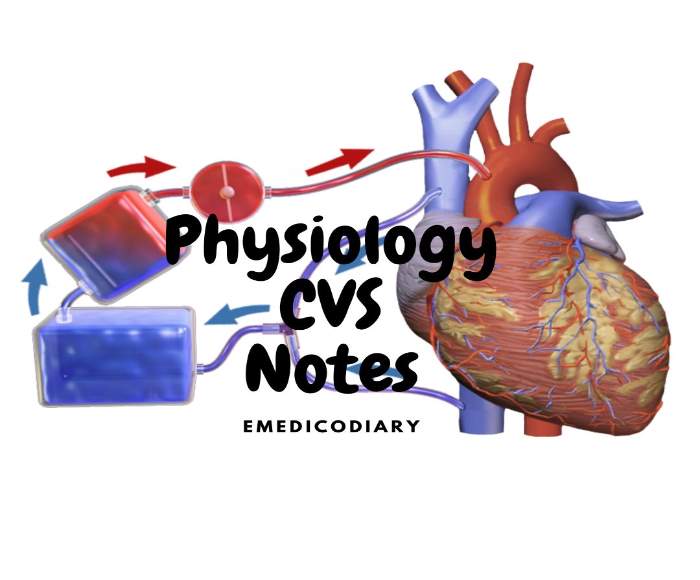 Cardiovascular System Physiology
