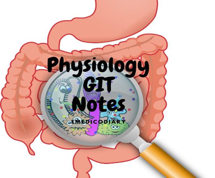 Gastrointestinal Tract (GIT) Physiology