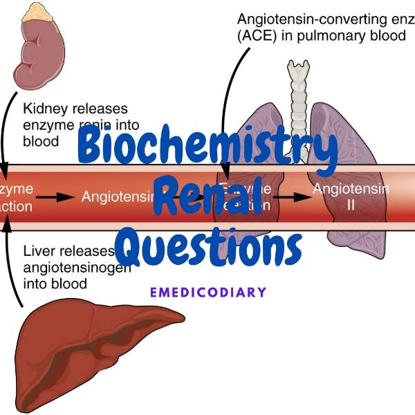 MBBS 1st Year Question Collection Of Renal System and Body fluid and Electrolytes(Biochemistry)